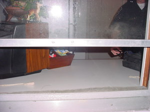 burglary window(2).JPG.jpeg